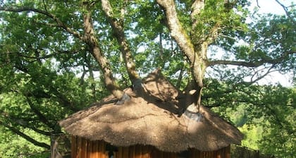 ----- Cabane AMOUR--- Perched cabin for 4 travellers