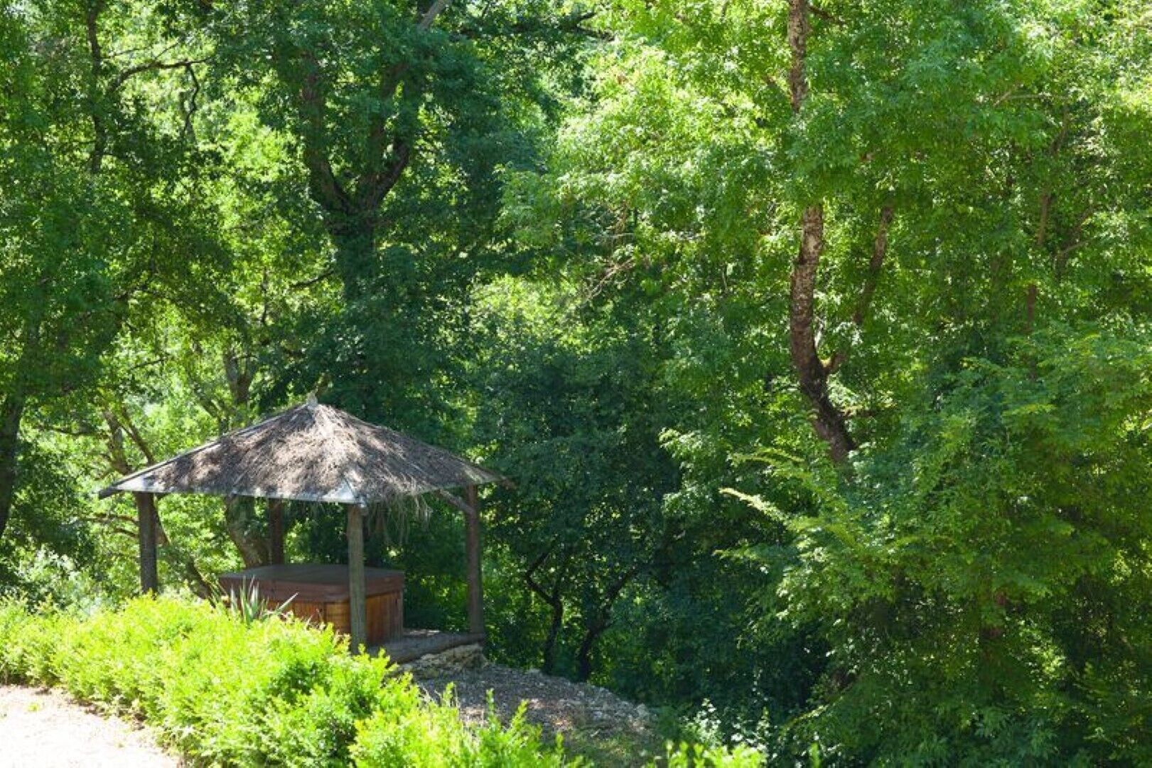Ein Pavillon in üppigem Grünland inmitten eines dichten Waldes.