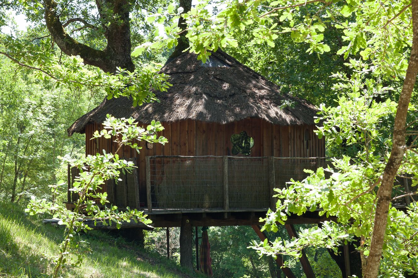 A treehouse with a thatched roof, surrounded by lush greenery.