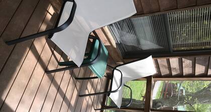 Cabina de madera de la montaña ahumada