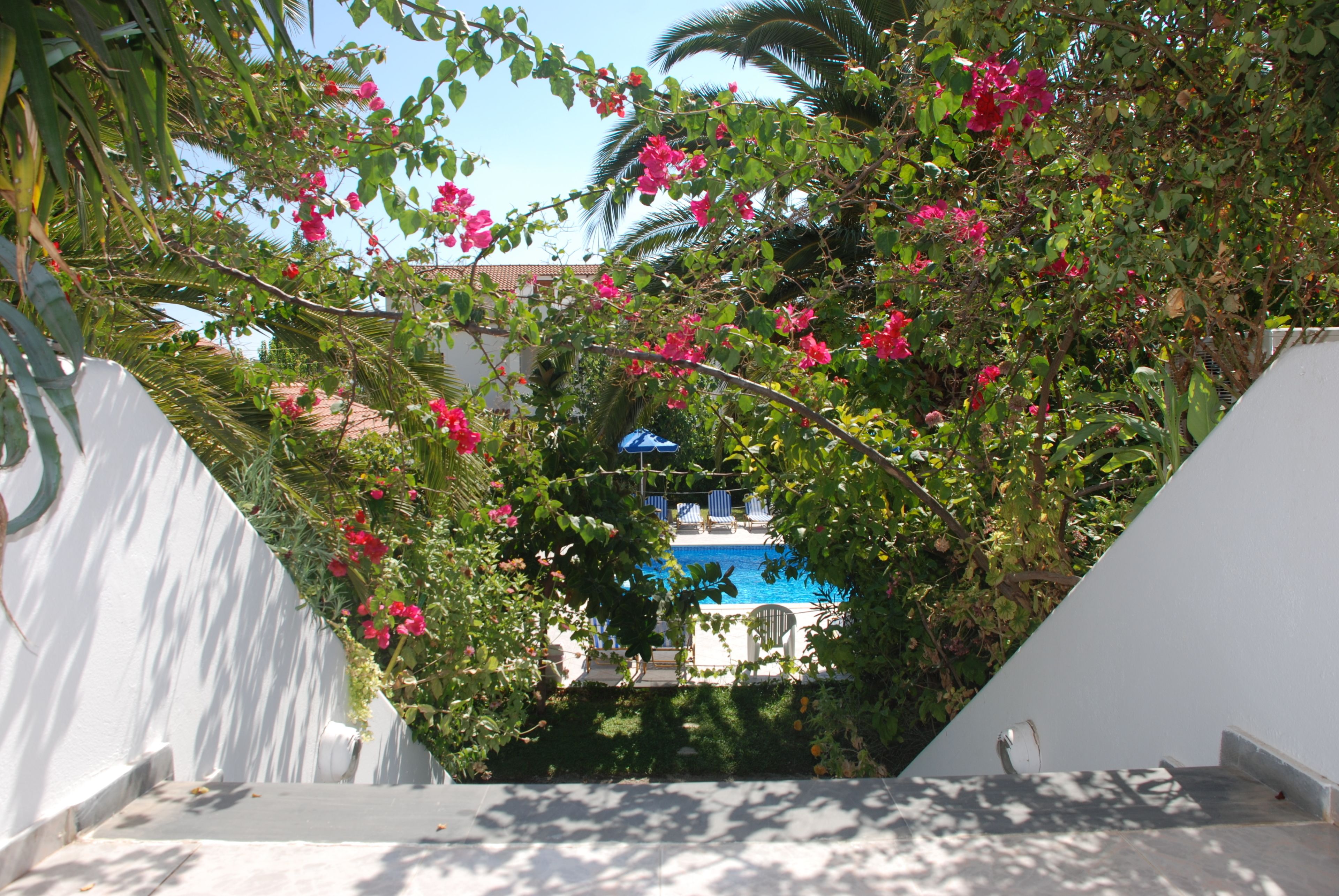 Estudio superior, balcón (Pool or Sea view) | Vista desde la habitación