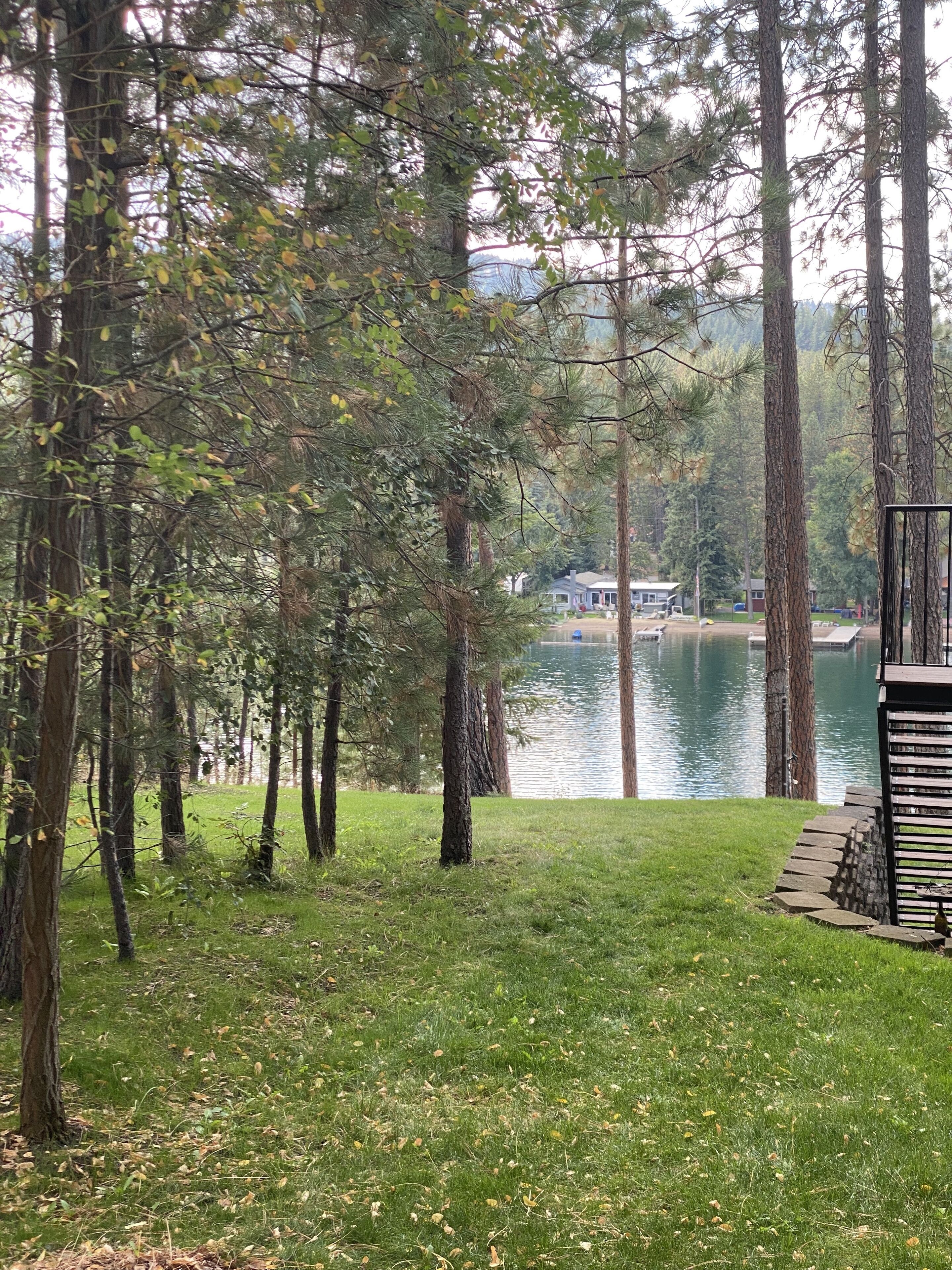 Una vista tranquila del lago, con altos árboles y una zona cubierta de césped.