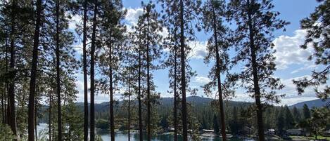 Lac