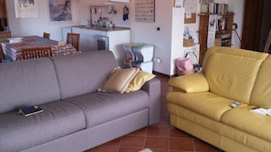 Télévision, cheminée, livres, chaßne hi-fi