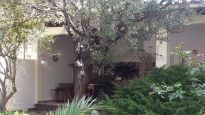 A garden with a palm tree, dense shrubbery, and a building with steps leading up to a door. - THE TERRACE ON THE PARK (Oristano)