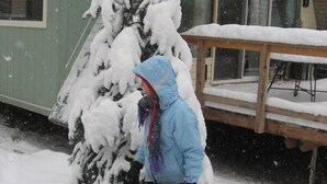 A person in a blue jacket and red hat playing with a dog in a snowy yard with a wooden deck and a green building in the background. - Head up to our creek cabin! (Payson)