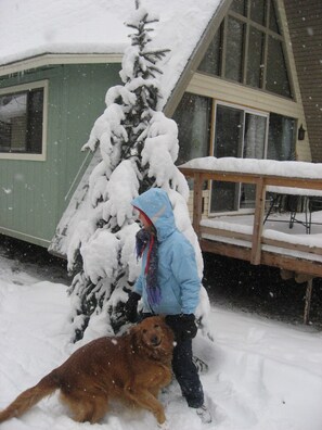 Terrain de lâhĂ©bergement