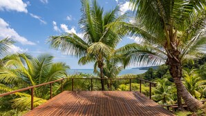 A wooden deck with a metal railing overlooking a tropical landscape with palm trees and a view of the ocean. - The Tranquilo Lodge (Drake Bay)