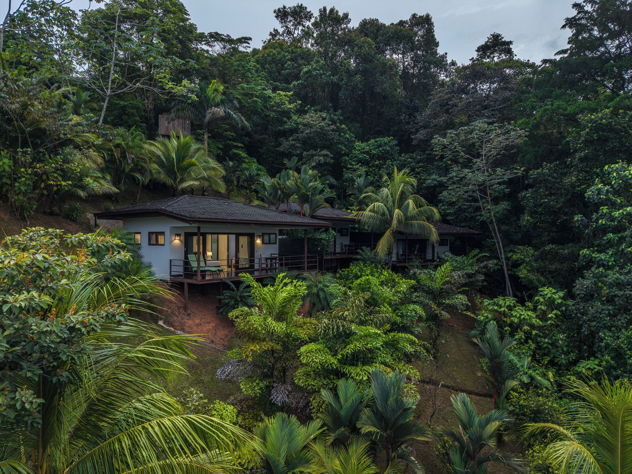 A secluded house surrounded by dense tropical vegetation.