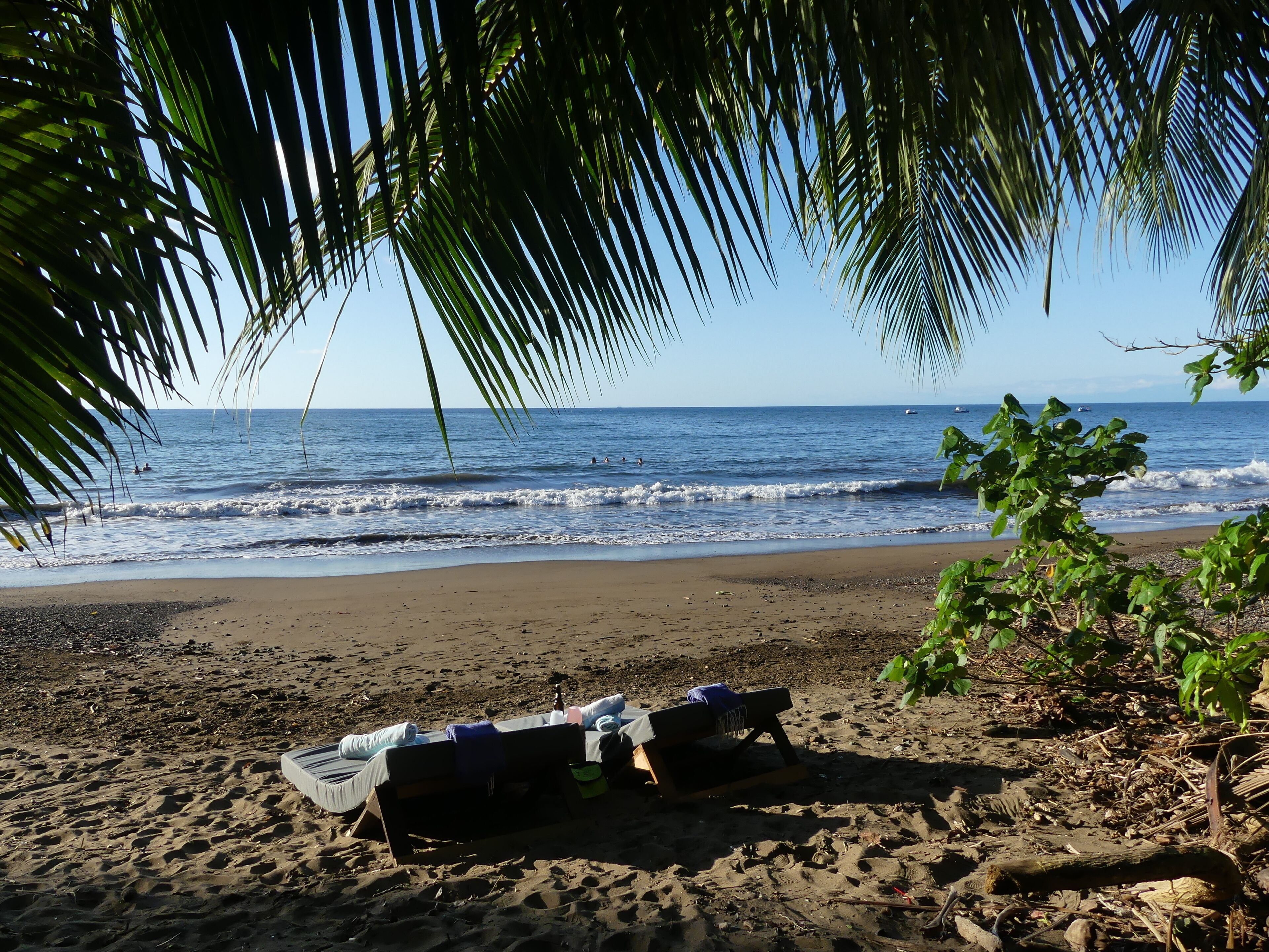 A beach with a wooden bench and a hammock under palm tree shade.