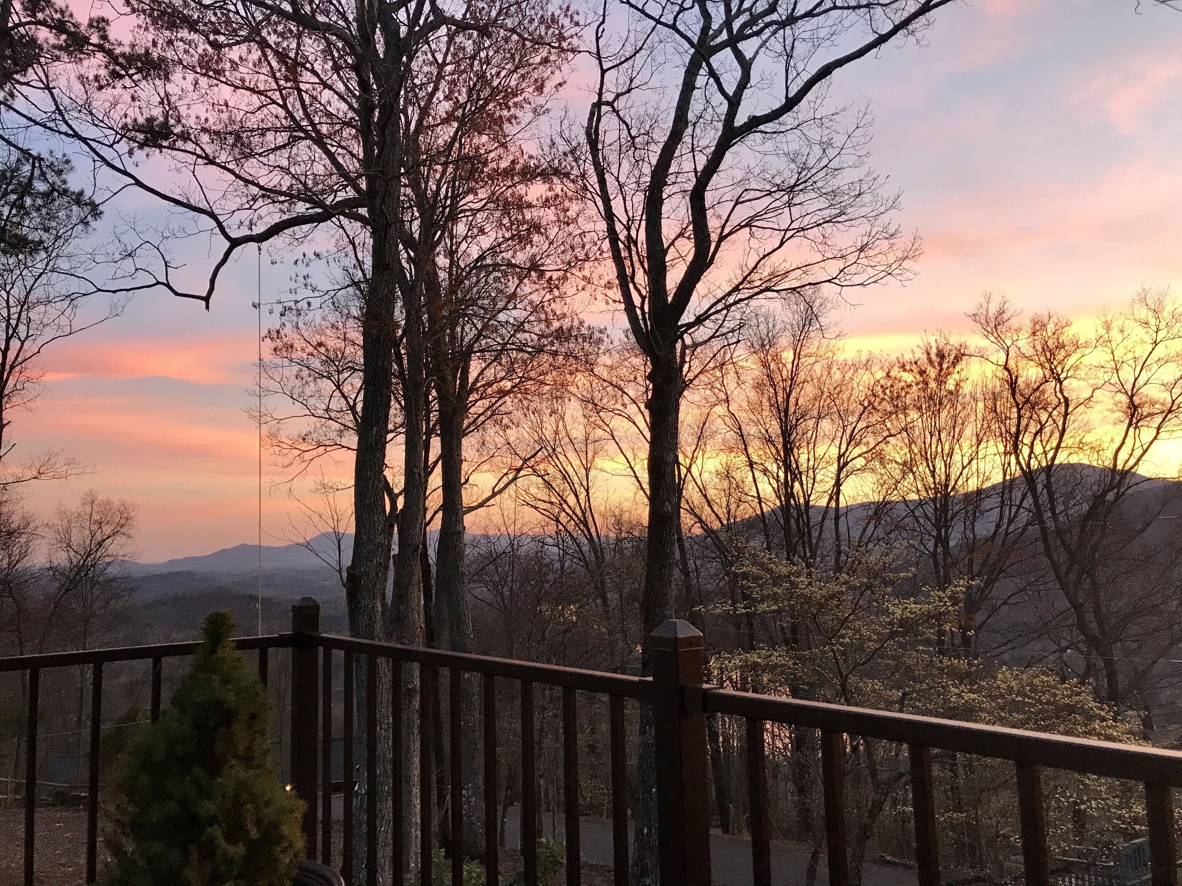 What a View! Dog friendly on top of Young's Mountain in Lake Lure!!