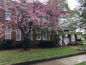 A residential building with a brick facade, a porch with white railings, and a tree with pink blossoms.