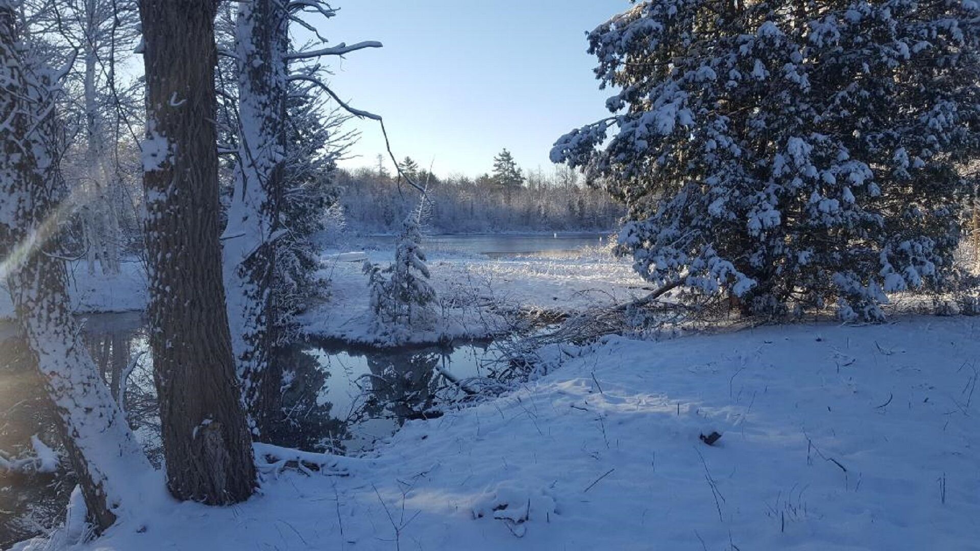 A snowy landscape with a frozen lake, trees, and a clear sky.