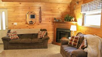 Smart TV, chimenea, reproductor de DVD y libros