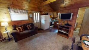 TV connectée, cheminée, lecteur de DVD, livres