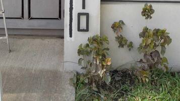 Una puerta de garaje con el nombre 'CASAPAPITO' pintado en ella.