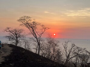 Un atardecer sobre una masa de agua, con árboles despojados de hojas y un sendero que lleva al agua.
