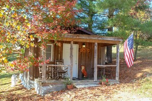 A rustic cabin with a porch, a sign reading "Fox Den," and an American flag.