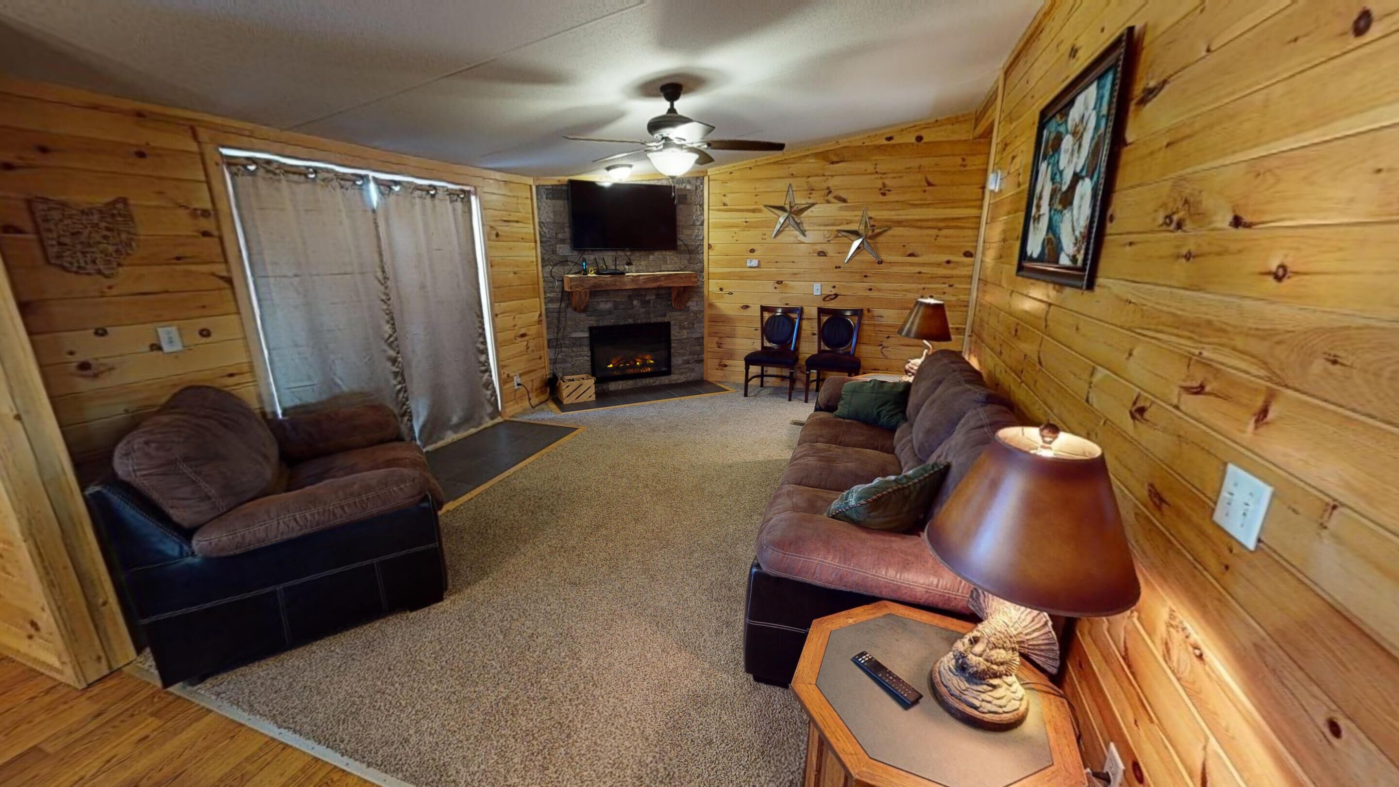 TV connectée, cheminée, lecteur de DVD, livres