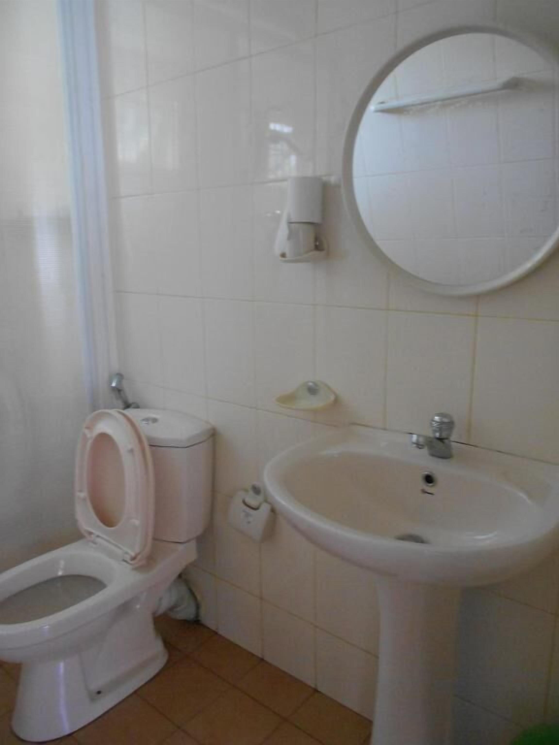 A bathroom with a toilet, sink, and mirror.