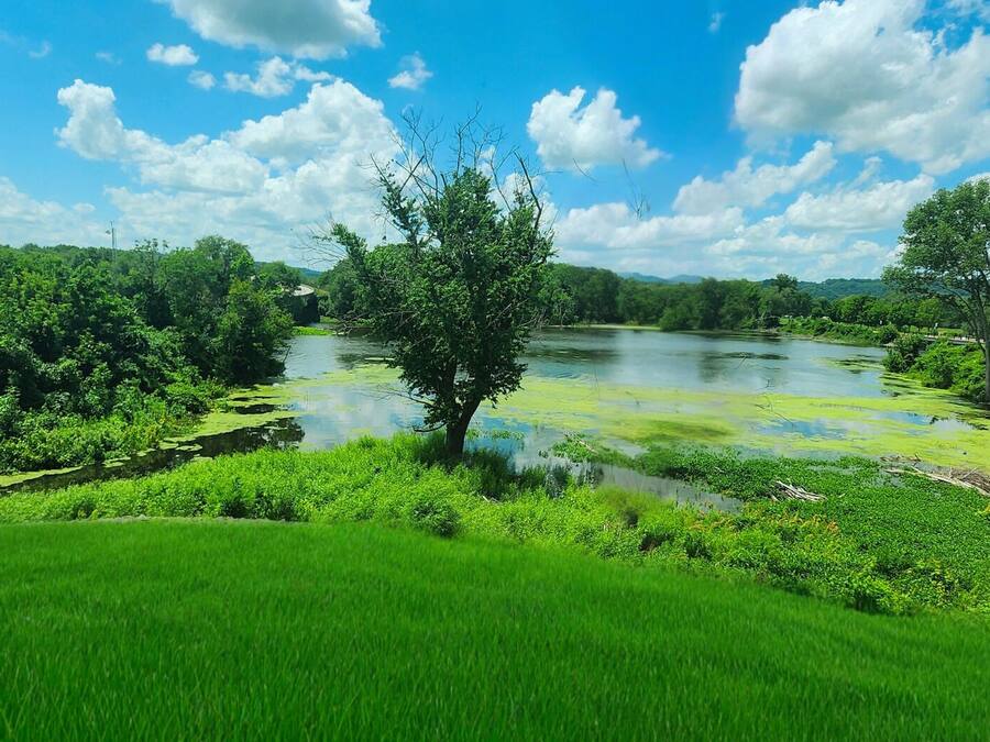 Un paisaje verde y exuberante con un río, árboles y cielo despejado.