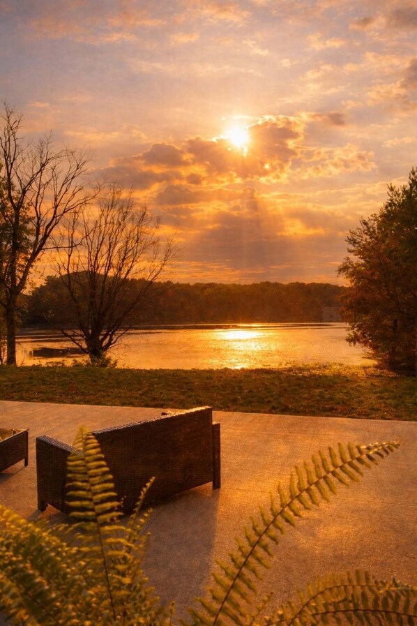 A sunset view over a lake with a bench and ferns in the foreground. - Waterfront Hotel (Prairie Du Chien)