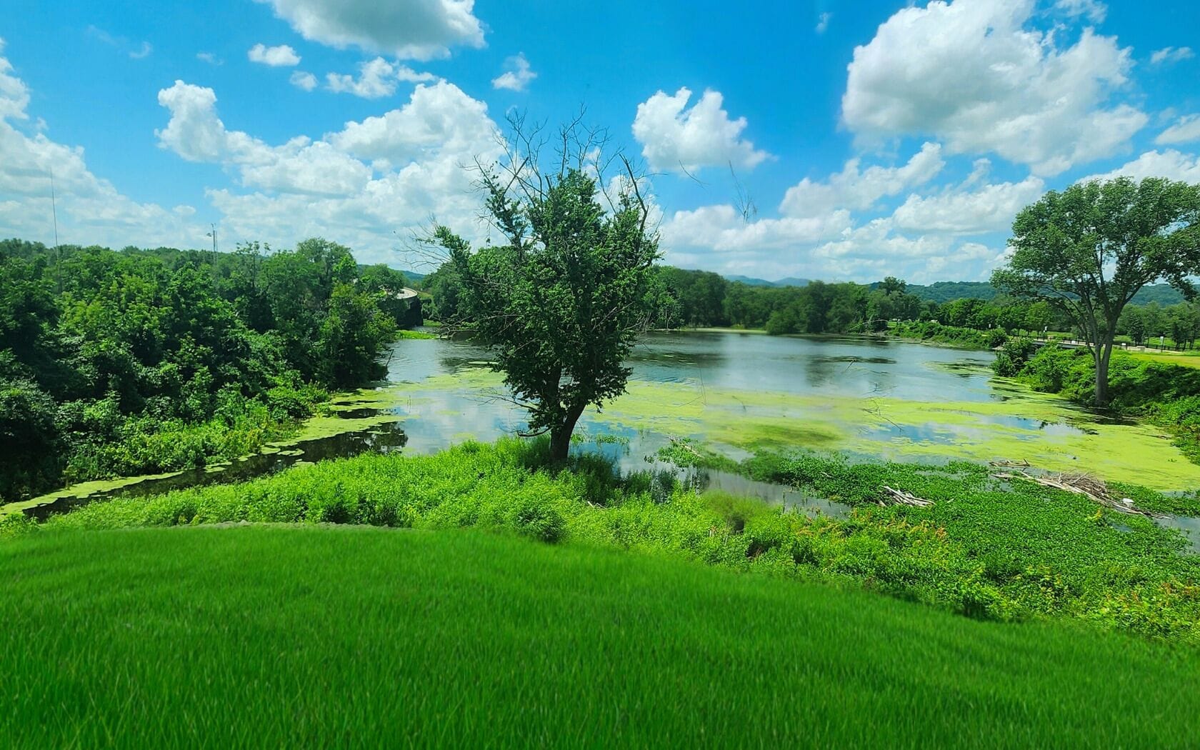 premium bedding, down duvets, pillow-top beds, individually decorated