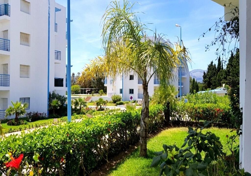 Un patio con una palmera, setos cuidados y un edificio blanco con balcones.