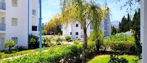 Un patio con una palmera, setos cuidados y un edificio blanco con balcones.