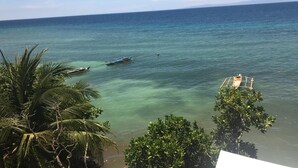 Blick auf die Küste mit klarem türkisblauem Wasser, Booten und Palmen.