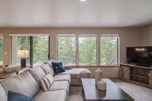 Smart TV, fireplace, DVD player, video library