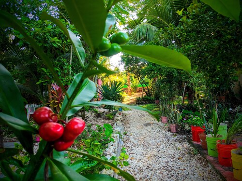 Apartamento La Casa del Angel