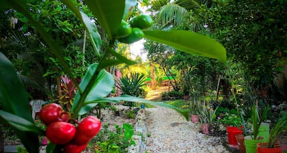 Apartamento La Casa del Angel