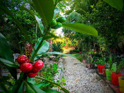 Apartamento La Casa del Angel