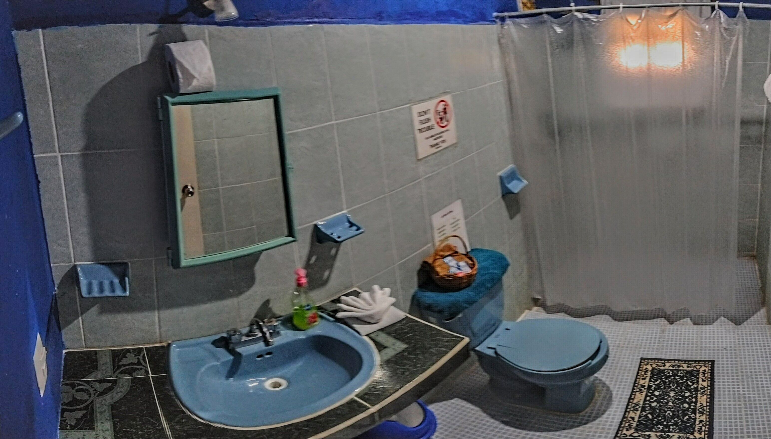 Ein Badezimmer mit blauem Waschbecken, Toilette, Spiegel und Duschvorhang.