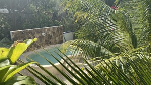 A pool surrounded by lush greenery and a stone wall.
