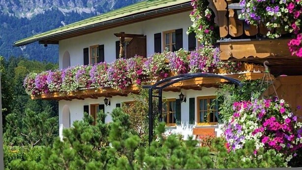 Un edificio su due piani con tetto verde, circondato da vegetazione lussureggiante e montagne sullo sfondo.