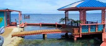 Bird Island Placencia