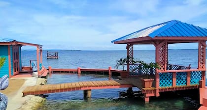 Bird Island Placencia