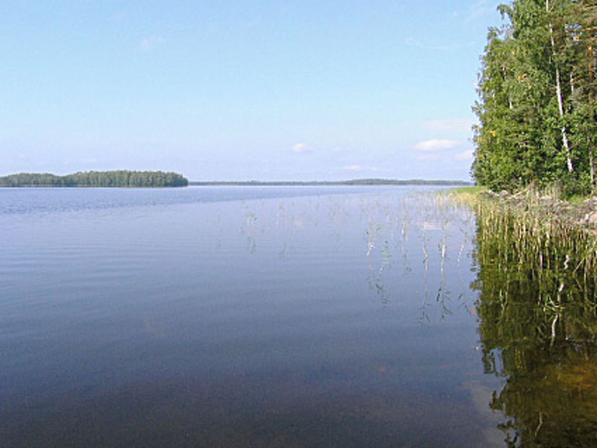 A calm lake with a small island in the distance and dense trees along the shore.