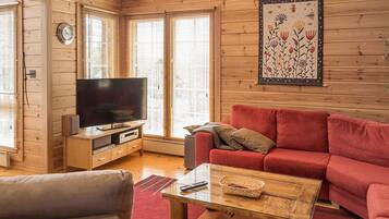 Televisio, DVD-soitin