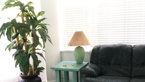 Un salón con un sofá de cuero negro, una mesita auxiliar verde con una lámpara, una planta en maceta y una mesa de centro de mármol.