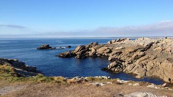 In StrandnĂ€he, LiegestĂŒhle