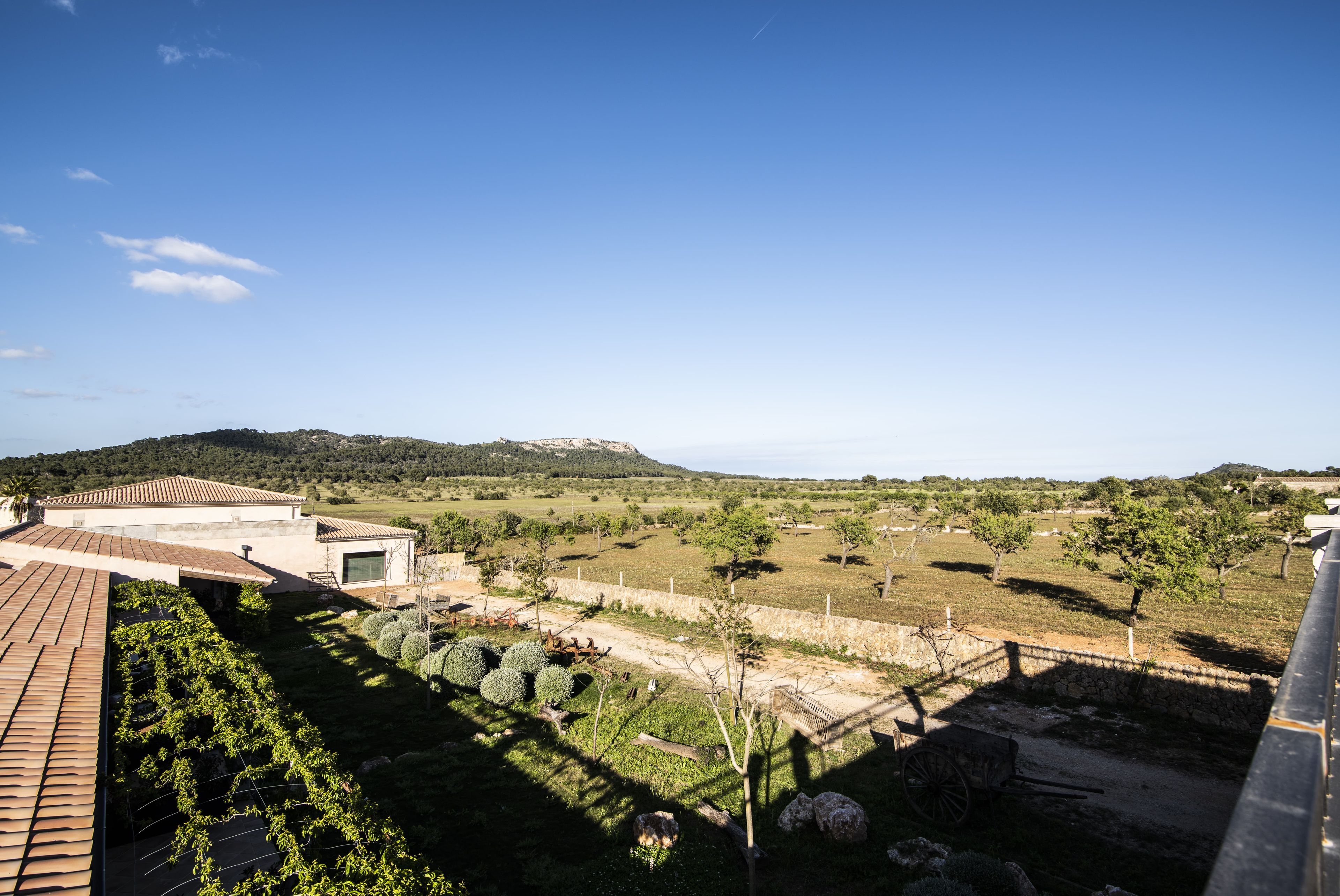 Vista d'una vinya amb un edifici al primer terme i un cel blau clar.