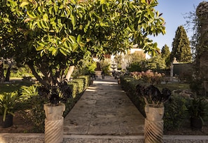 A stone pathway leading through a garden with various plants and a fountain.