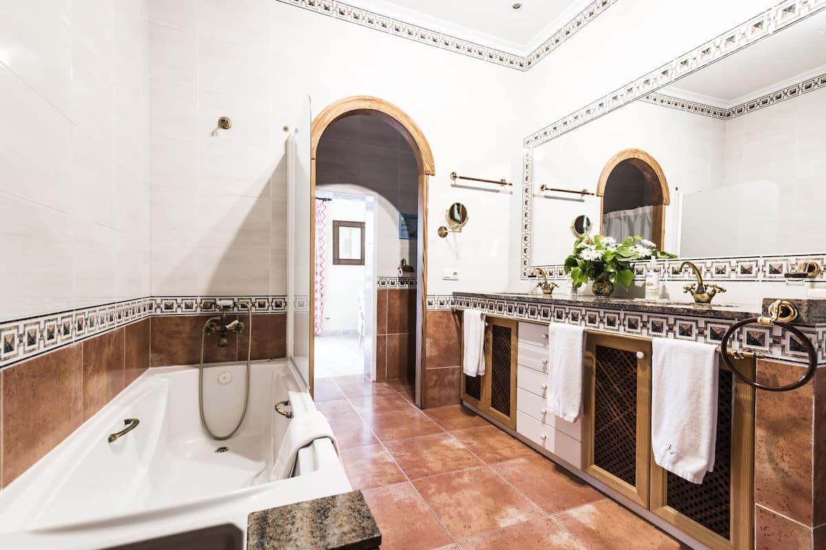 Un bagno con una vasca da bagno spaziosa, un mobile toilette con specchio e una zona doccia.