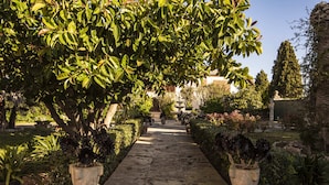 Un sendero de piedra que atraviesa un jardín con diversas plantas y árboles.