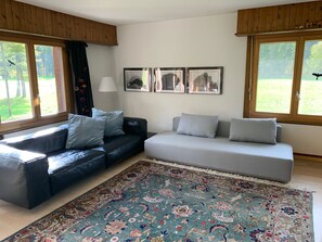 Fernseher, Kamin