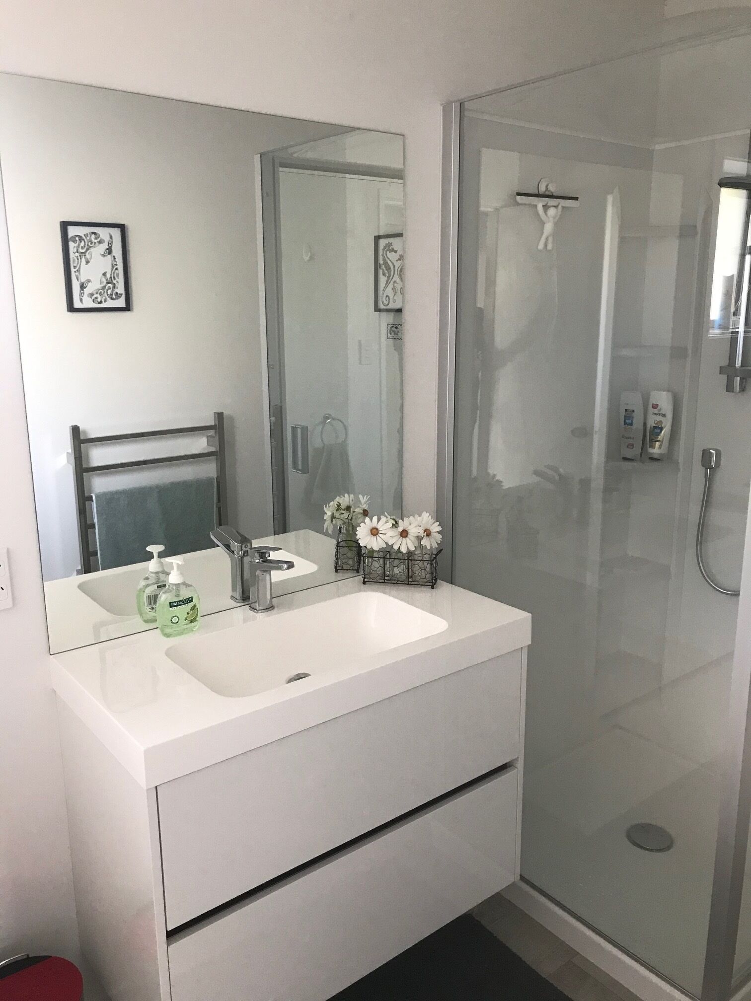 Shower, soap, toilet paper