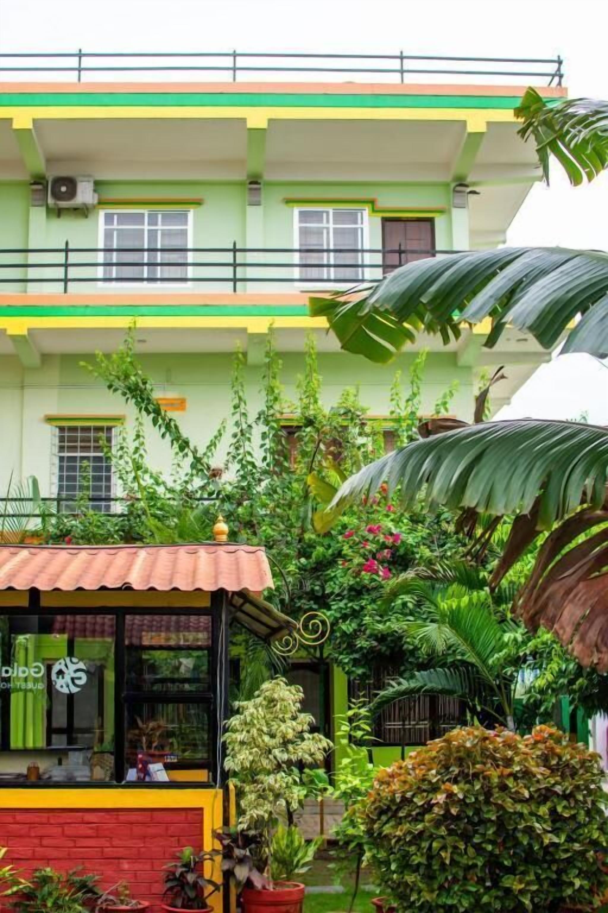 A two-story building with a green and yellow facade, a small shop with a red roof, and lush greenery including large leaves and flowering plants.